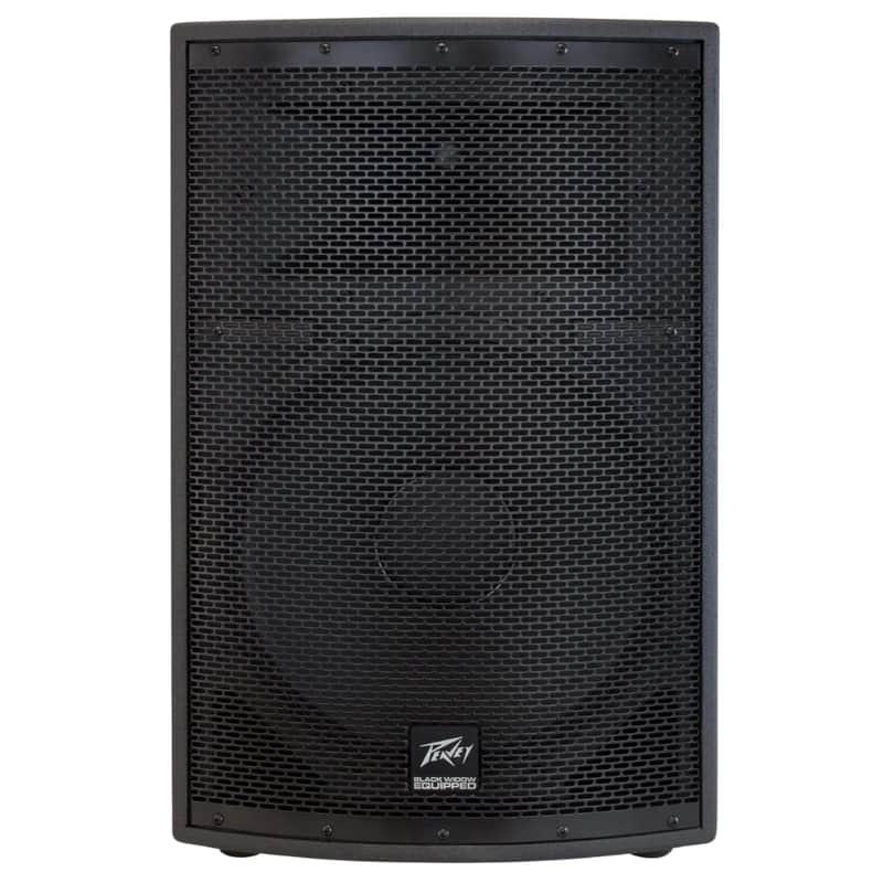 Peavey SP 2 Passive 1000-Watt 2-Way Speaker image 1