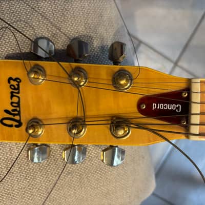 Ibanez Concord 1978 image 2