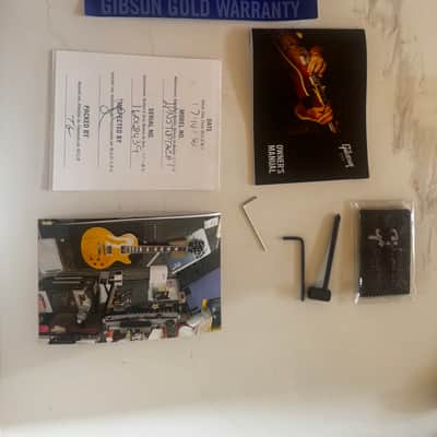 Gibson Les Paul Standard 2016 - Translucent Amber (I think) image 7