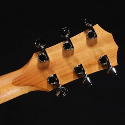 Taylor 24ce Mahogany Top with African Sapele Back and Sides with Fishman Pickup NEW PRODUCT 320 image 8