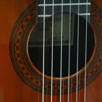Yamaha GC-30C image 4