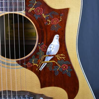 1977 Alvarez 5024 Dove image 8