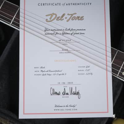 Del-Tone 60s S-Style Light Aging - Gold image 24