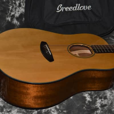 2021 Breedlove - Discovery Dreadnought - Natural image 8