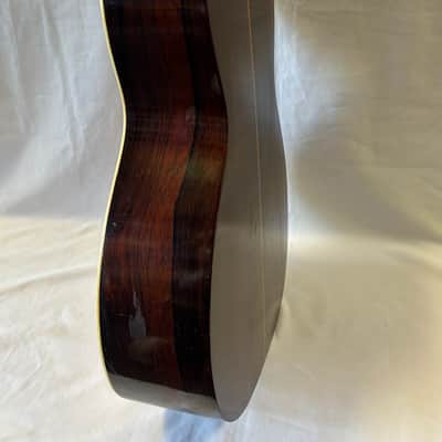 Washburn 1897 Style New Model -1890's image 10