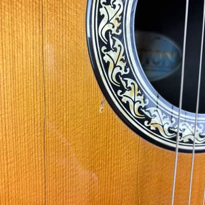 Ovation 1613 1981 - Natural image 8