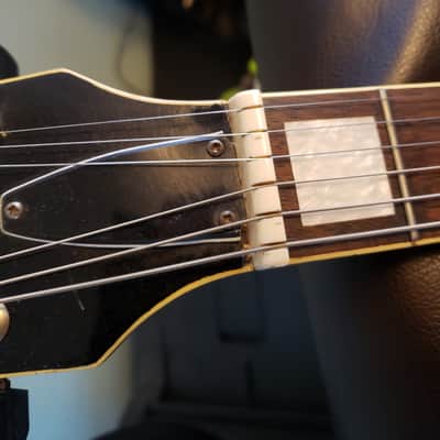 Cort Single Cutaway 1984-1986 Spalted Maple image 5