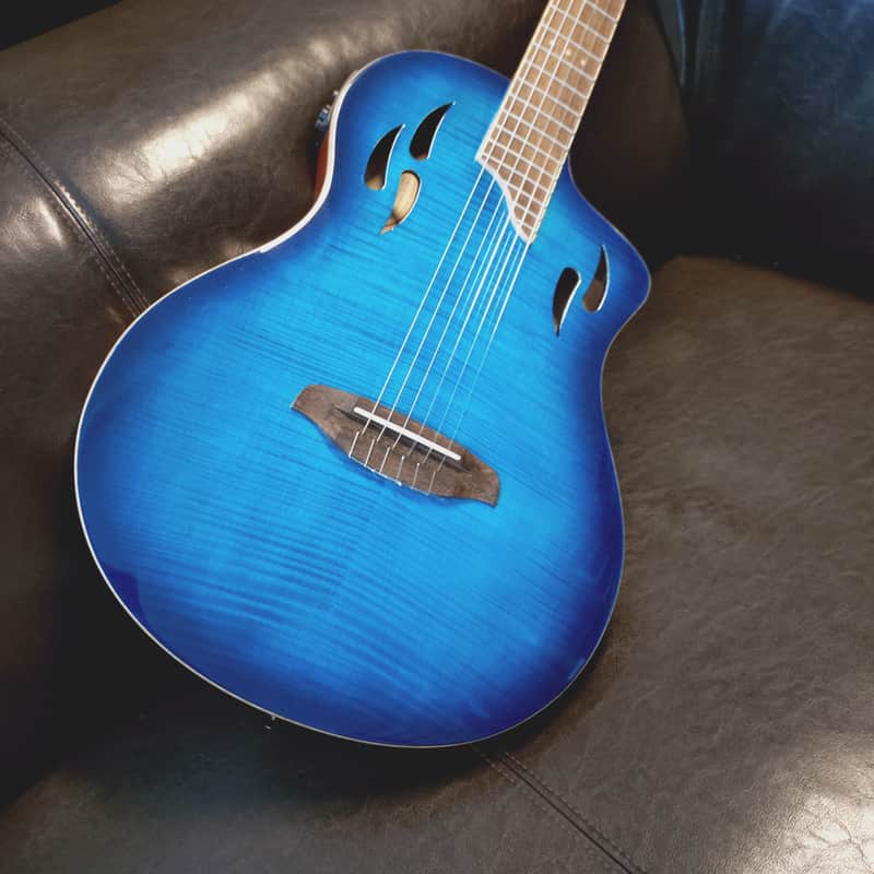 Ortega  Tourplayer 2024 image 1