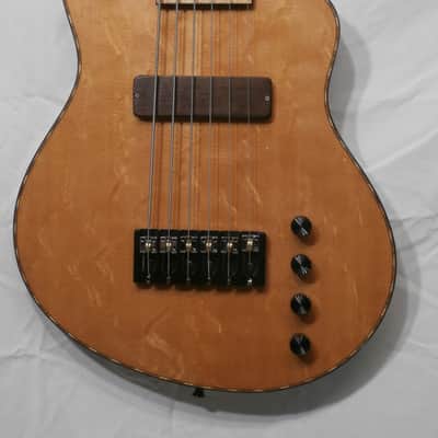 Rick Turner RB6-CST #13-3216, 6 String Bass Guitar image 1