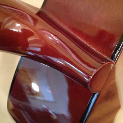 Takamine EG230 image 8