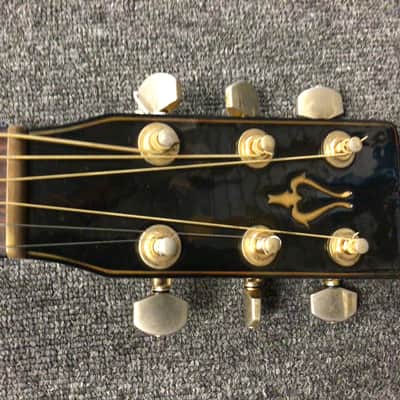 Used YAMAKI DAION BLACK THE 79 Acoustic Guitars Black image 3