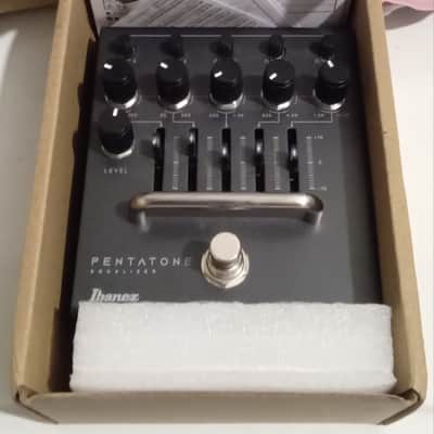 Ibanez Pentatone Equalizer 2024 - Present - Dark Grey