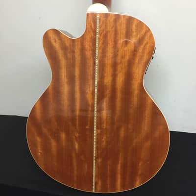Johnson JB-2 4-F Fretless Acoustic-Electric Bass 2010's - Natural image 2