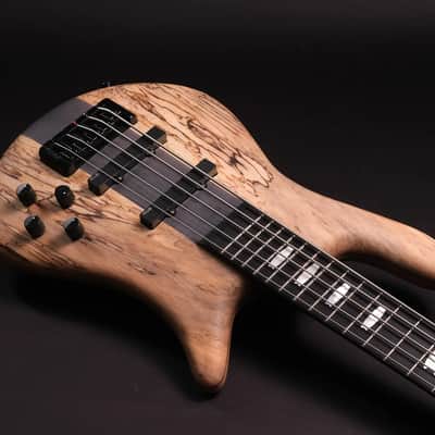 Spector CST limited Edition 2026 - Spalted Maple image 3