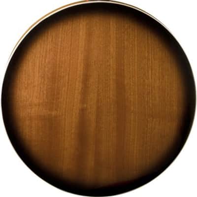 Washburn 5-String Americana B9 Series Resonator Banjo image 2