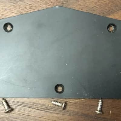 2008 Epiphone Les Paul Special II Control Cavity Cover With Screws image 1