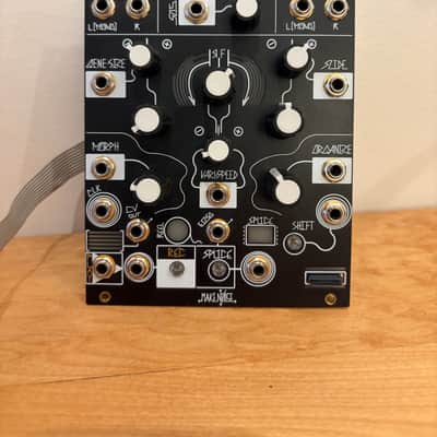 Make Noise Morphagene Module | Reverb Canada