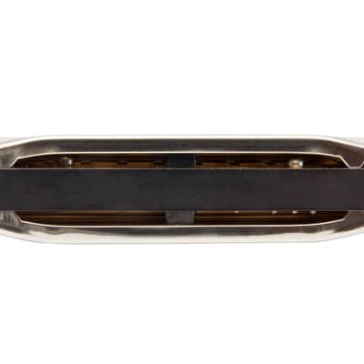 Hohner Progressive Series Special 20 Diatonic Harmonica in G image 7