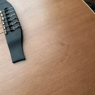 Godin Multiac ACS SA Nylon image 15