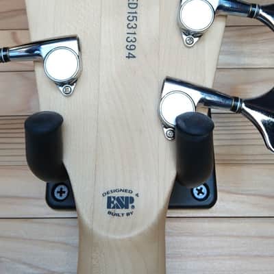 EDWARDS E-RM-95DA IKUTRON 2015 image 7