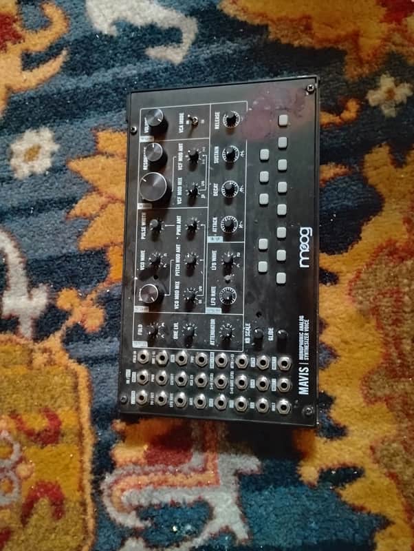Moog Mavis Monophonic Analog Synthesizer Voice