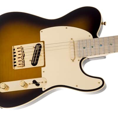 Fender Richie Kotzen Telecaster Electric Guitar. Maple FB, Brown Sunburst image 4