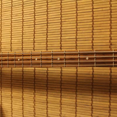 Burny ZB-85 signature Norio Toshiro ( Thunderbird Bass ) See-Thru Blue image 10
