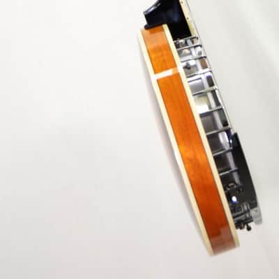 Washburn B10-A 5 String Banjo 2021 image 11