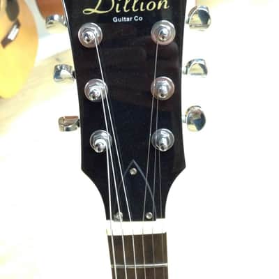 Dillion Les Paul Double Cut image 2
