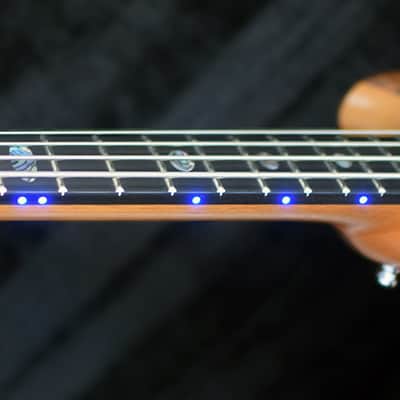 Alembic Brown Bass image 13