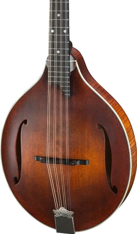 Eastman MDO305 Octave Mandolin NEW image 1