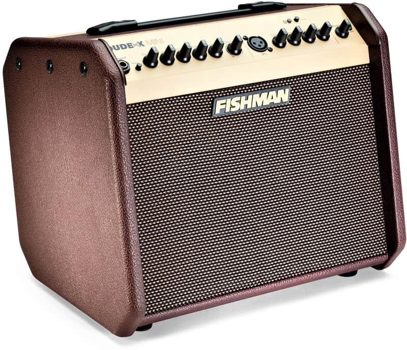 Fishman Loudbox Mini 60 Watts Acoustic Guitar Amplifier with Bluetooth image 1