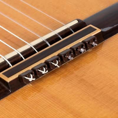 6-Pack Classical Guitar Replacement Strings, Nylon Strings for Acoustic Guitar image 8