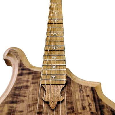 Weymann USA Artist Pro CUSTOM SHOP Solid Body Electric Guitar SET NECK Limited Edition image 8
