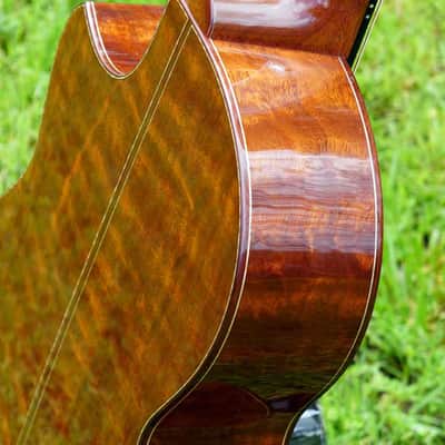 2019 The Tree Sexauer FT-000-C German Top Multi-Scale Fanfret Hot Hide Glue Varnish #2870219 image 7