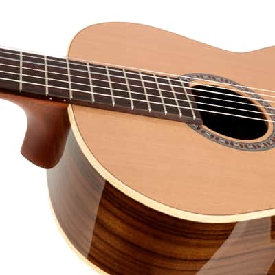 Godin Collection Cedar & Rosewood Classical Guitar image 7