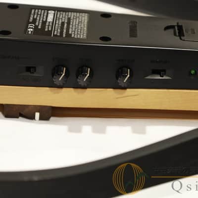 Yamaha Slg 100 S image 10
