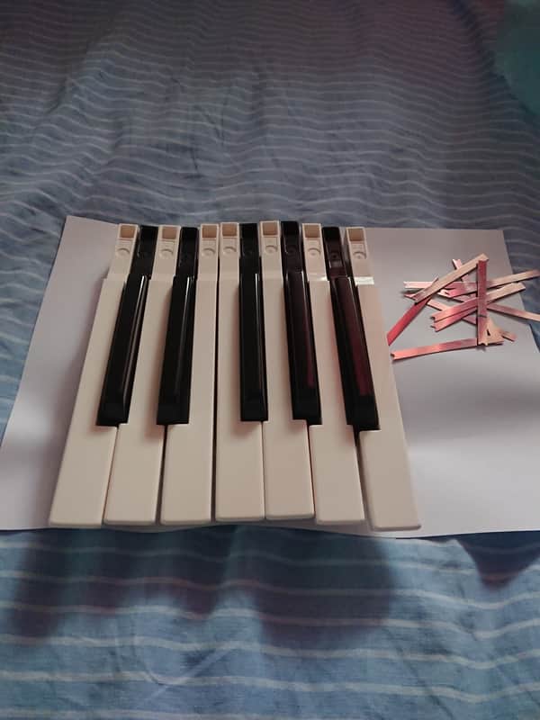 Korg Z1 full octave keys image 1