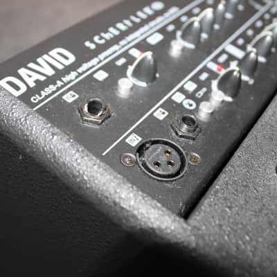 Immagine Schertler David 100 watt Acoustic Amplifier - 10