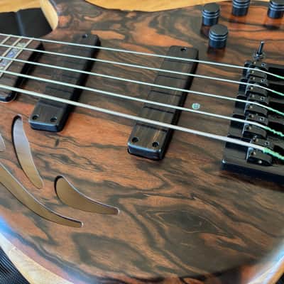Ken Lawrence Chamberbrase II 5 string electric bass guitar LED's image 19