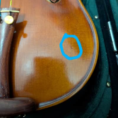 Holstein Bench Cannone 1743 Violin Built January 2016 Custom Rosewood Fittings image 7
