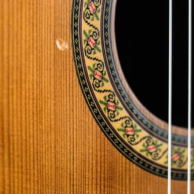 1977 Ibanez Model 2802M natural image 6