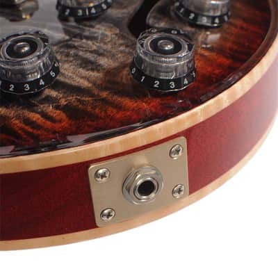 PRS 2024 McCarty 594 Hollowbody Guitar w/ Case USED image 8