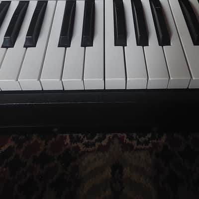 Elka Twin 61 w MOD (ultra rare) 1980 (Serviced) image 15