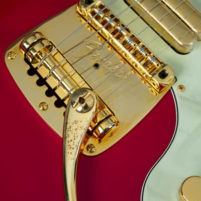 🇯🇵 1993 Fender Terry-1 Anniversary, Custom Edition, All Original, MIJ, Japan image 5