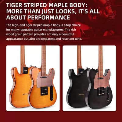 Luxars SG27 New - Flamed Maple Top Black Tele image 6
