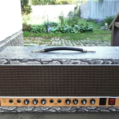 Selmer Treble and Bass 1960' s guitar amp head image 1