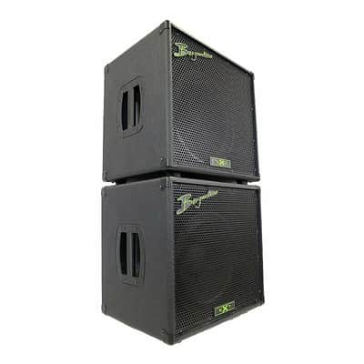 Bergantino NXT 112 Bass Cabinet *On Order, ETA July 2026 image 3