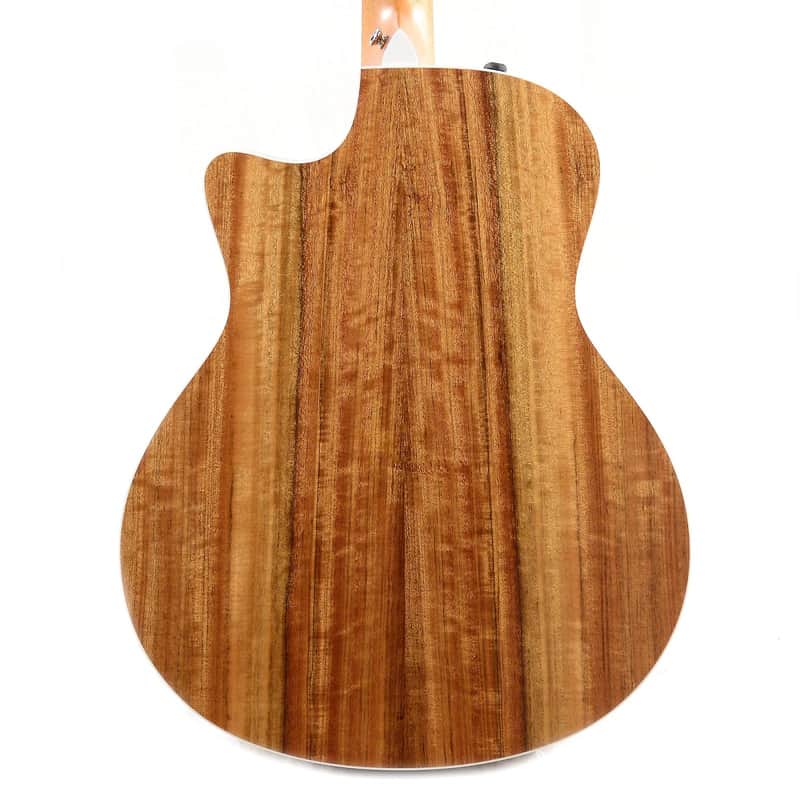 Taylor 416ce with ES2 Electronics image 4