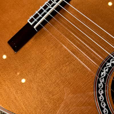 Cordoba C10-CD Cedar Classical Guitar 2025 - Natural image 5